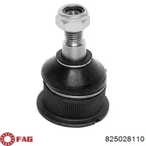 Кульова опора, нижня 825028110 FAG