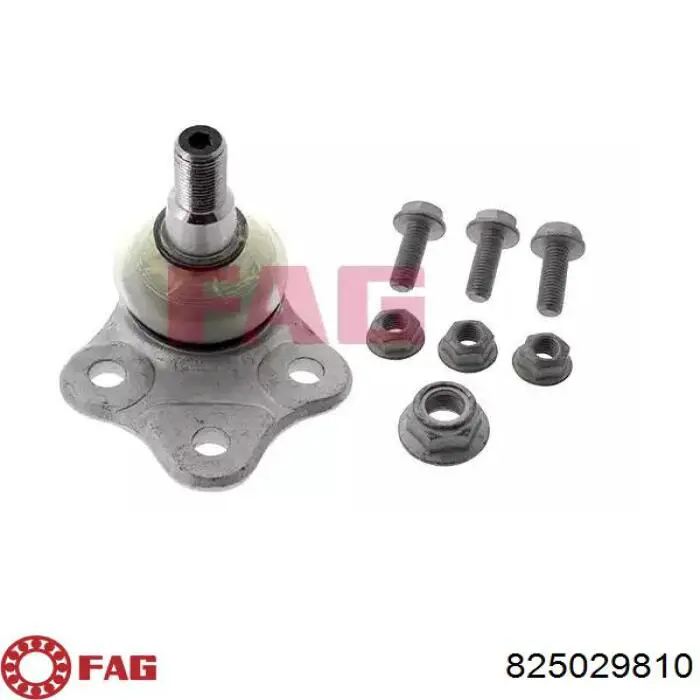 Кульова опора, нижня FAG 825029810 ціна, від 21.79 USD