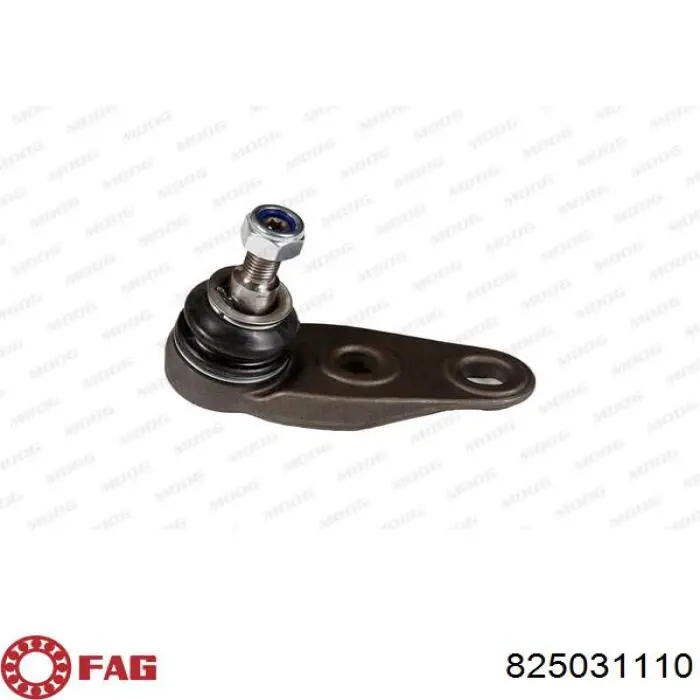 31126772303 BMW Кульова опора, нижня, ліва