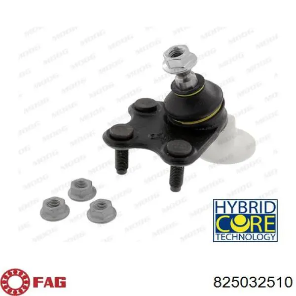 Кульова опора, нижня, права FAG 825032510 ціна, від 17.68 USD