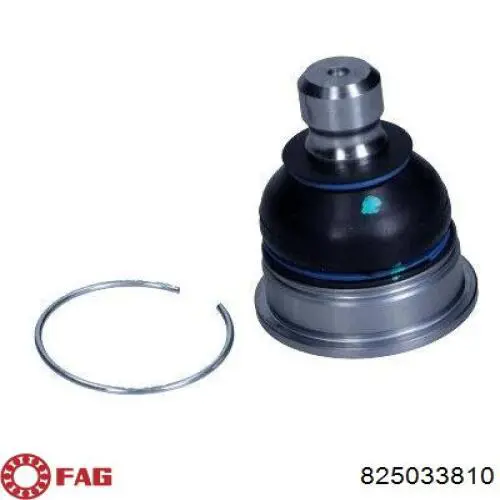 Кульова опора, нижня FAG 825033810 ціна, від 15.40 USD