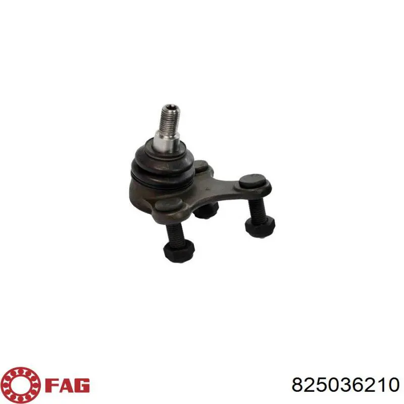 Кульова опора, нижня, ліва FAG 825036210 ціна, від 16.25 USD