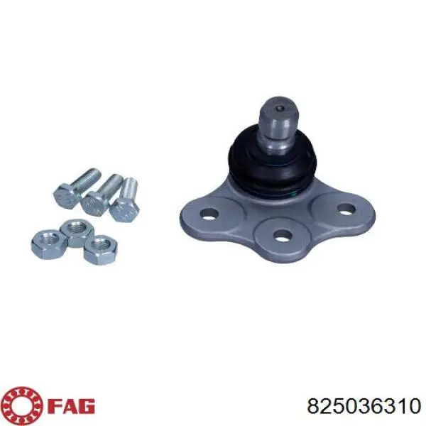 Купити 825036310 FAG Кульова опора, нижня