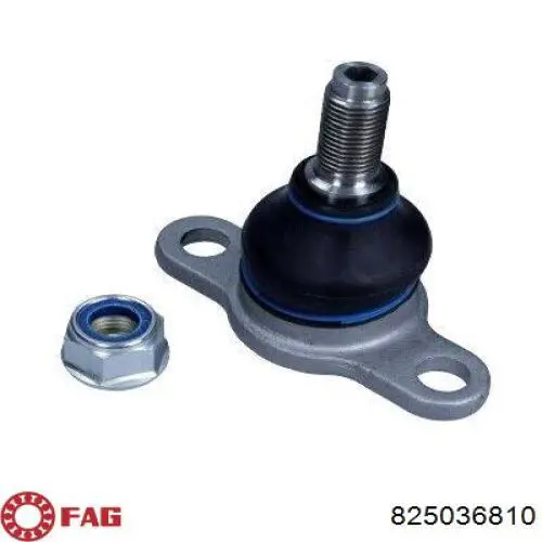 Кульова опора, нижня FAG 825036810 ціна, від 16.12 USD