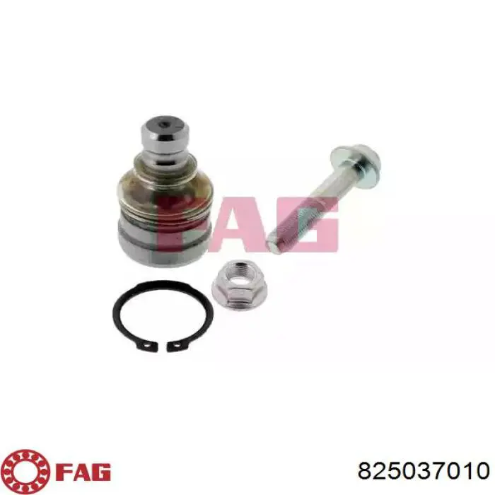 Кульова опора, нижня FAG 825037010 ціна, від 12.09 USD