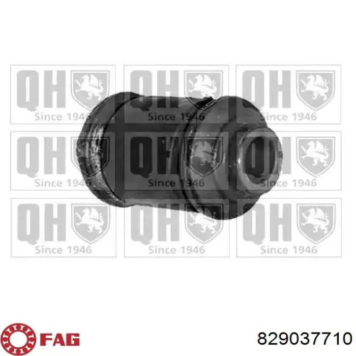 Купити 829037710 FAG Сайлентблок передньої підвіски