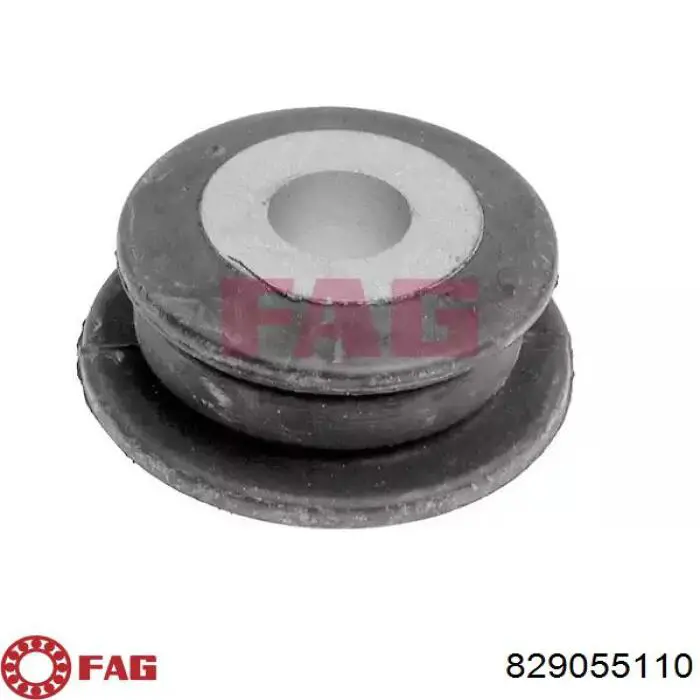 Елементи кріплення FAG 829055110 ціна, від 4.11 USD