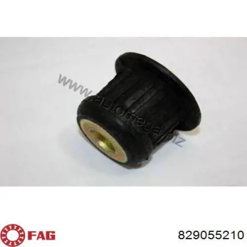 Елементи кріплення FAG 829055210 ціна, від 6.97 USD