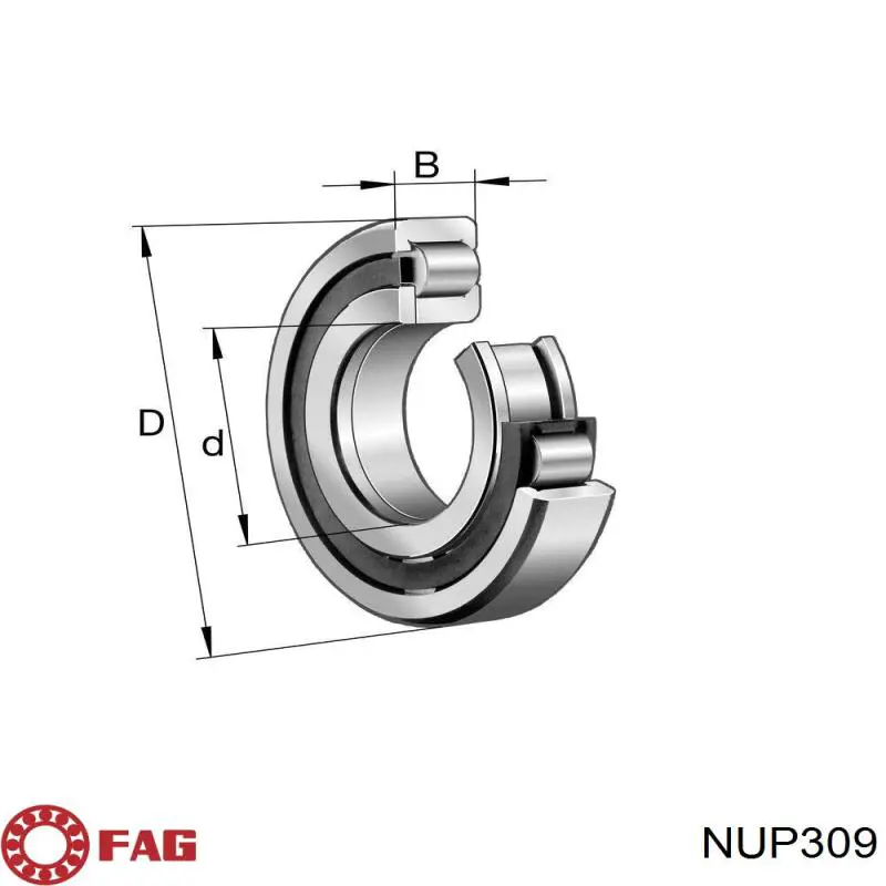 Купити NUP309 Koyo 