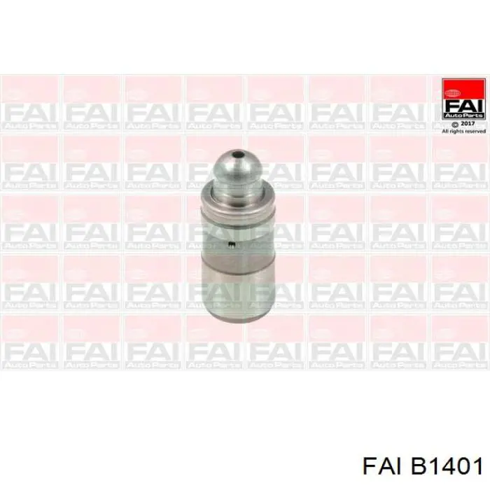 Купити B1401 FAI Болт гбц