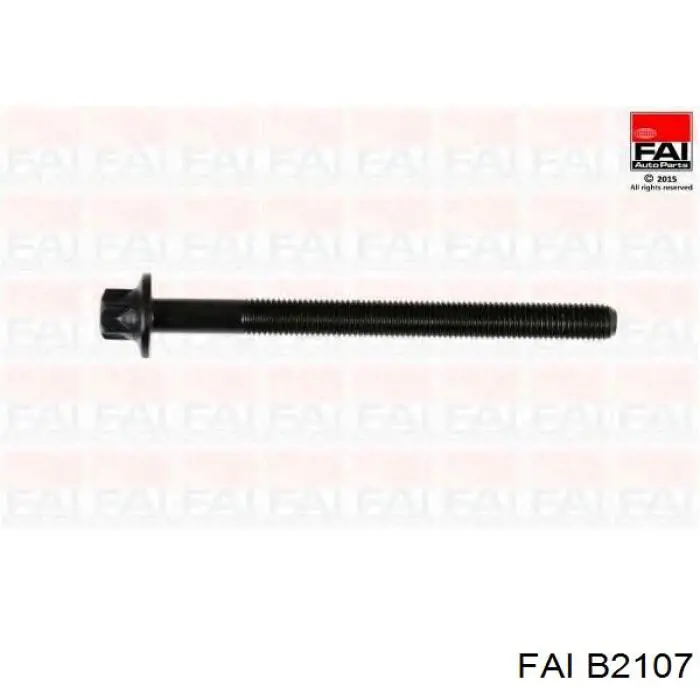 Болт головки блока циліндрів, ГБЦ FAI B2107 ціна, від 19.29 USD