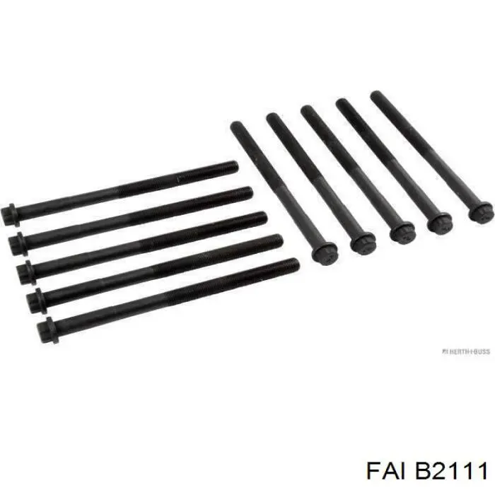 Купити B2111 FAI Болт гбц