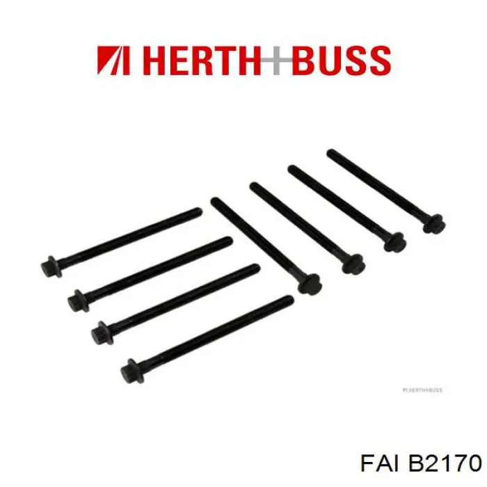 B2170 FAI Болт кріплення головки блоку циліндрів
