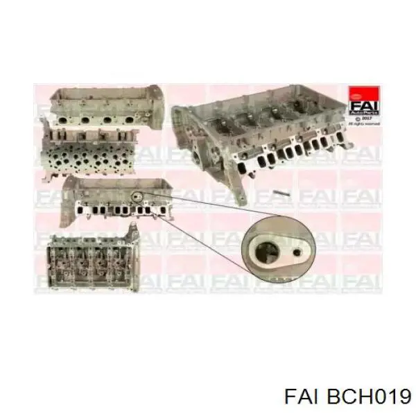 Купити 4C1Q6C032AB Ford Головка блоку
