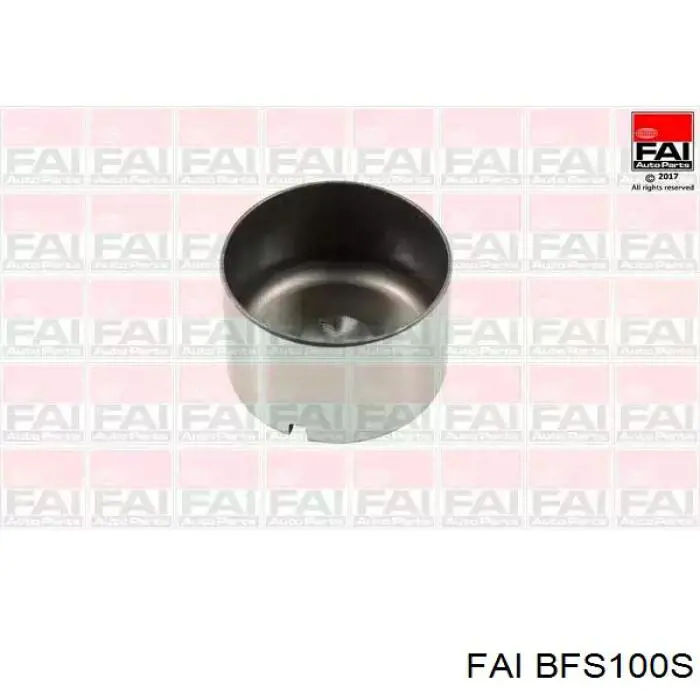 Купити BFS100S FAI Штовхач клапанів двигуна