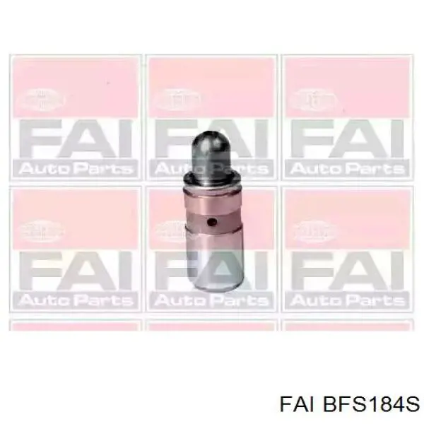 Гидроштовхач Nissan Qashqai I