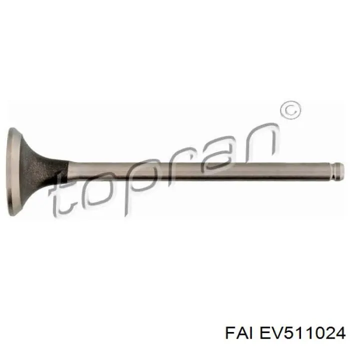 EV511024 FAI клапан випускний