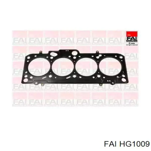 Купити HG1009 FAI Прокладка ГБЦ