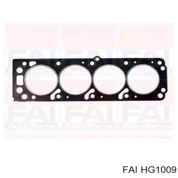 Прокладка головки блока циліндрів (ГБЦ) HG1009 FAI