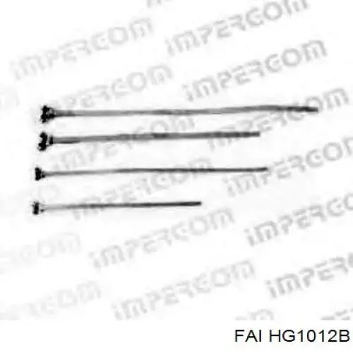 Купити HG1012B FAI Прокладка ГБЦ