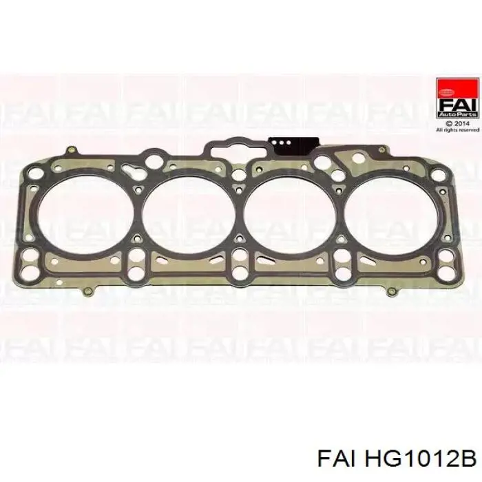 Купити HG1012B FAI Прокладка ГБЦ