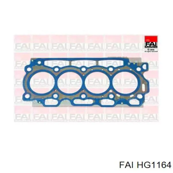 Купити HG1164 FAI Прокладка ГБЦ