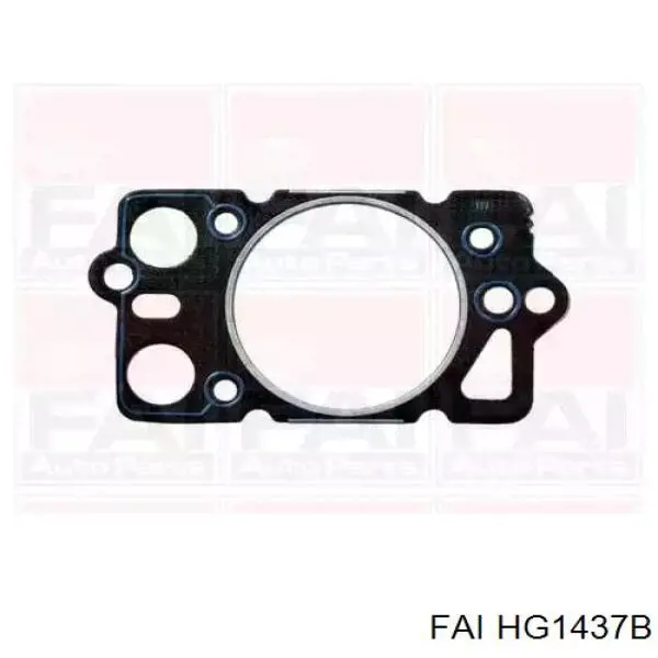 Купити HG1437B FAI Прокладка ГБЦ