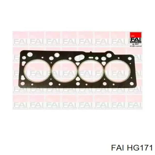 Купити HG171 FAI Прокладка ГБЦ