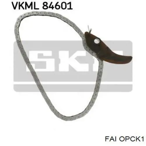 Ланцюг маслянного насосу OPCK1 FAI