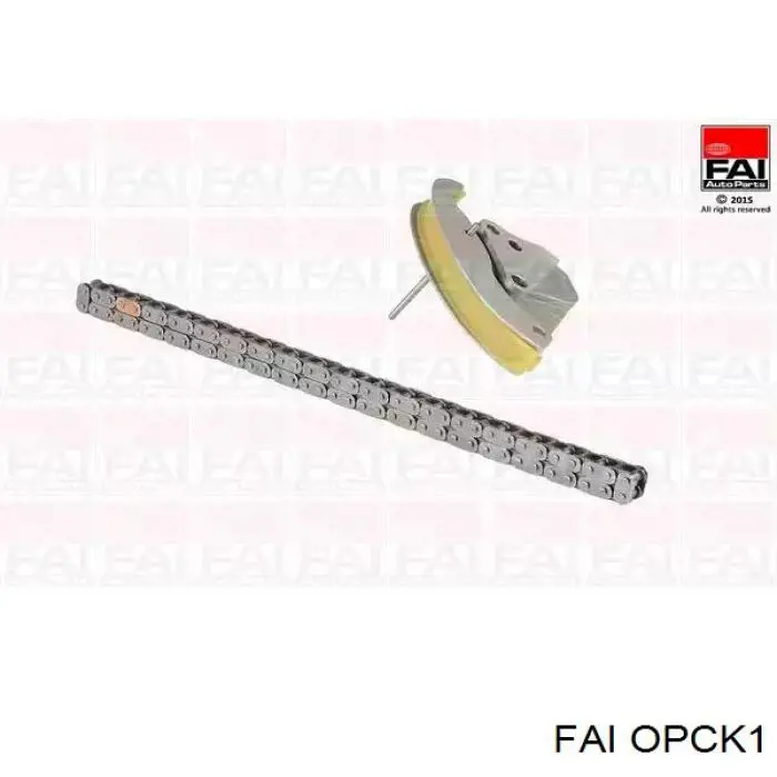 Ланцюг масло насоса FAI OPCK1 ціна, від 31.22 USD