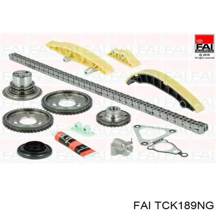 Купити TCK189NG FAI Комплект ланцюга ГРМ