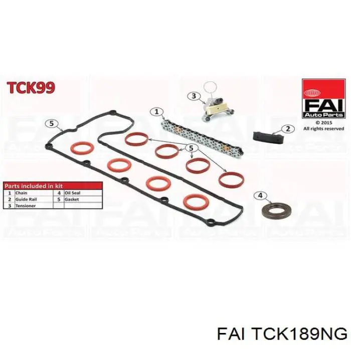 Ланцюг ГРМ, комплект FAI TCK189NG ціна, від 168.89 USD