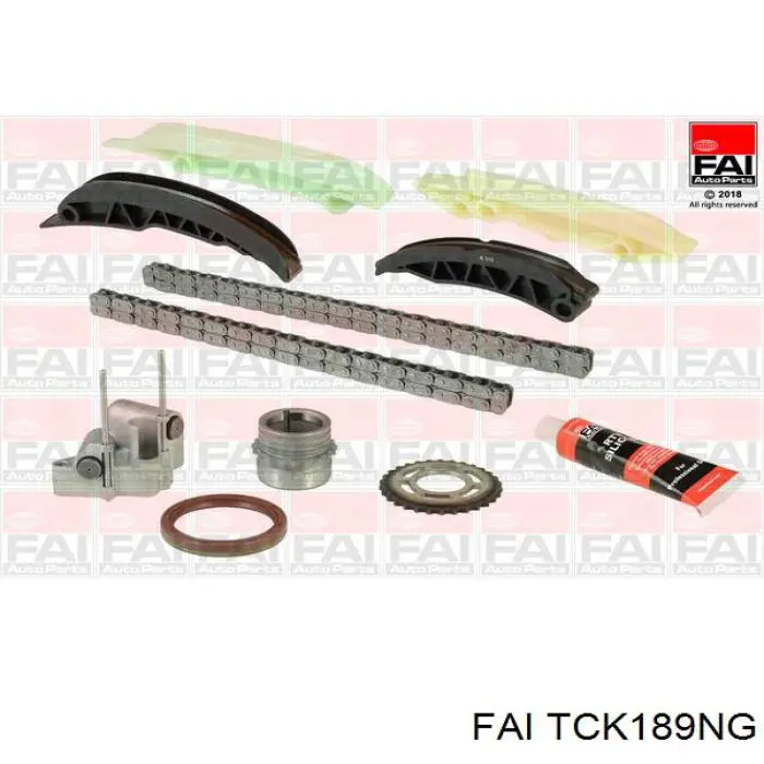 Купити TCK189NG FAI Комплект ланцюга ГРМ