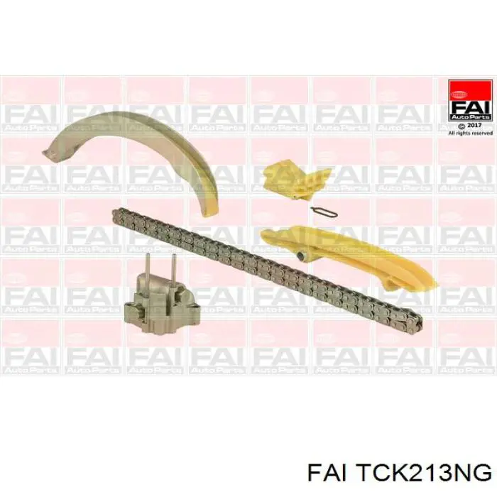 Купити TCK213NG FAI Комплект ланцюга ГРМ