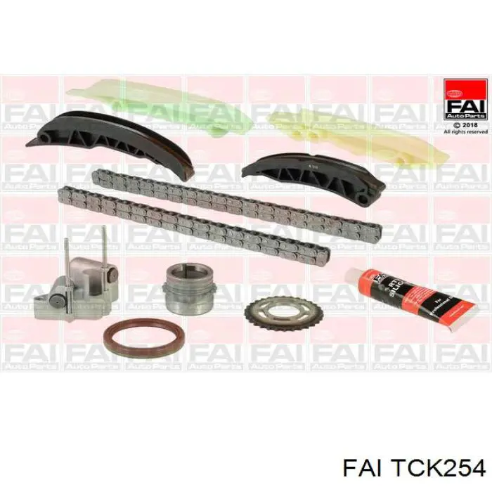 Купити TCK254 FAI Комплект ланцюга ГРМ