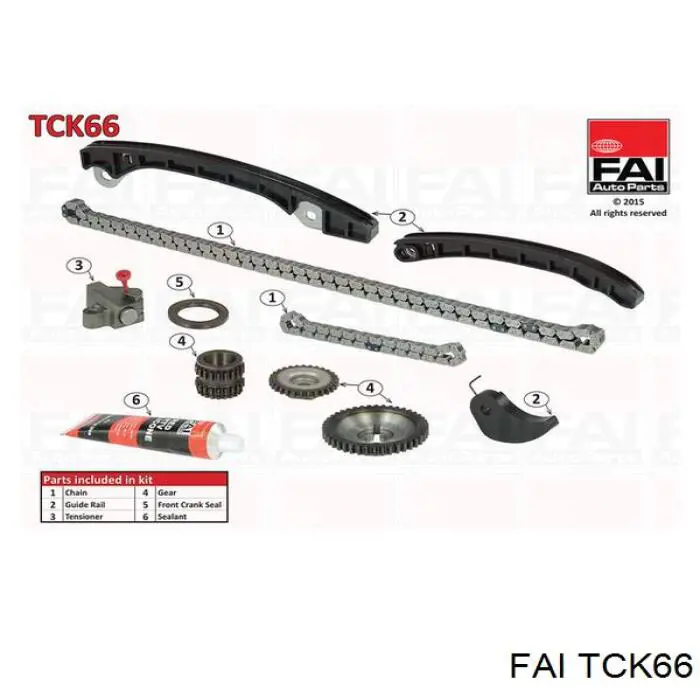 Купити TCK66 FAI Комплект ланцюга ГРМ