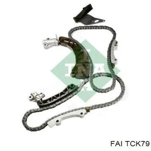 Ланцюг ГРМ, комплект FAI TCK79 ціна, від 187.41 USD
