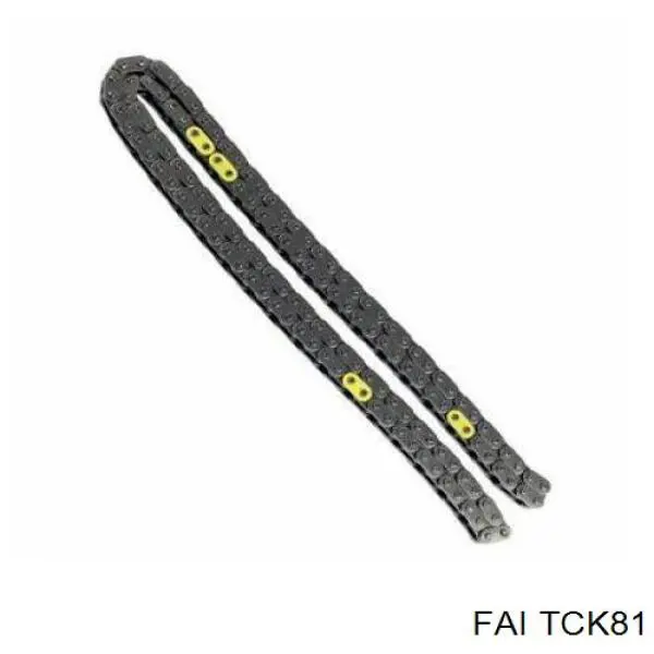 Ланцюг ГРМ, комплект FAI TCK81 ціна, від 179.51 USD