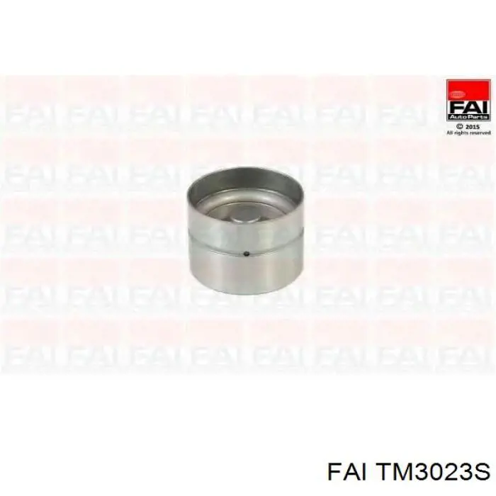 Купити TM3023S FAI Штовхач клапанів двигуна