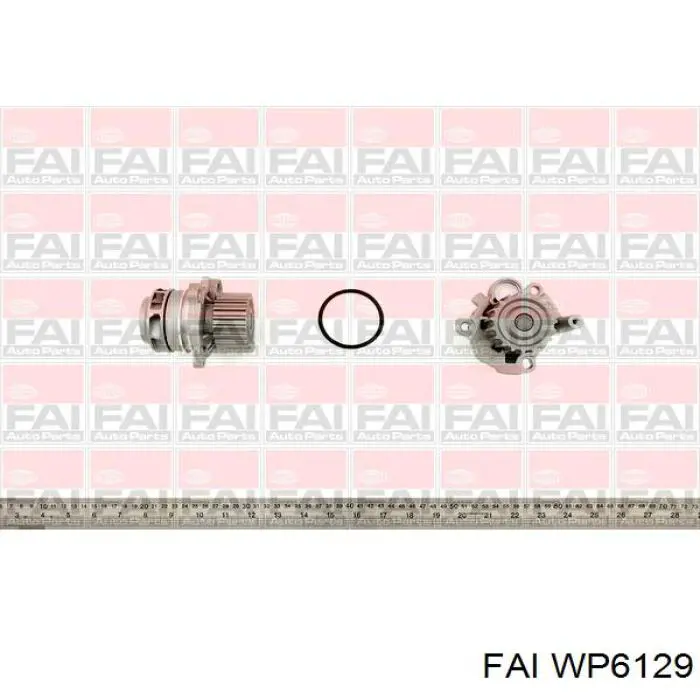 WP6129 FAI помпа водяна, (насос охолодження)