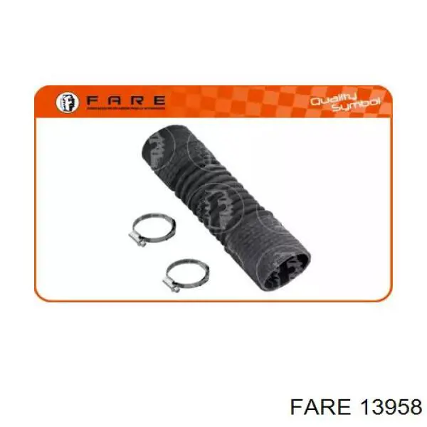 13958 Fare 