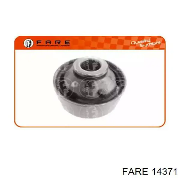 14371 Fare 