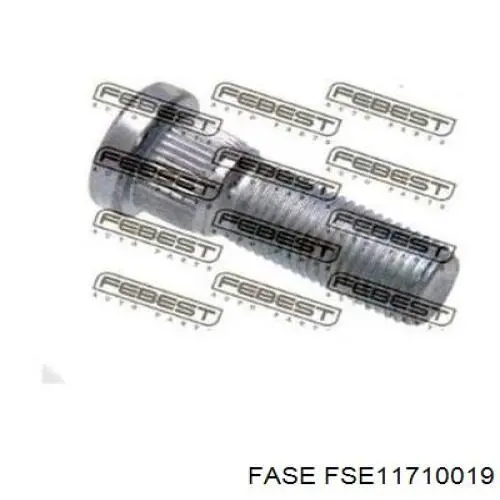 Купити FSE11710019 Fase Колісний болт