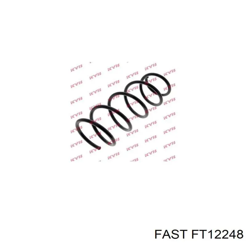 FT12248 Fast пружина передня