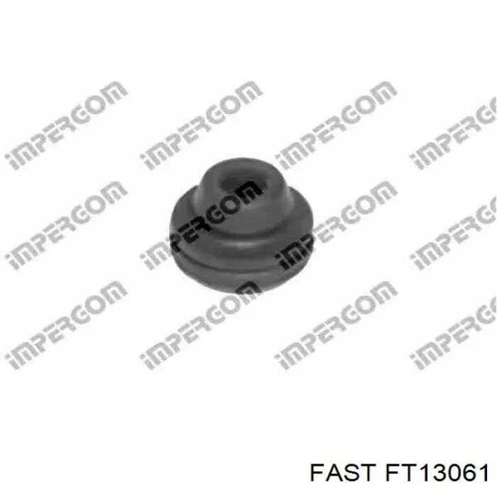  Fast FT13061 ціна, від 2.91 USD
