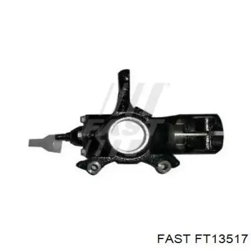 Купити FT13517 Fast Цапфа поворотного кулака