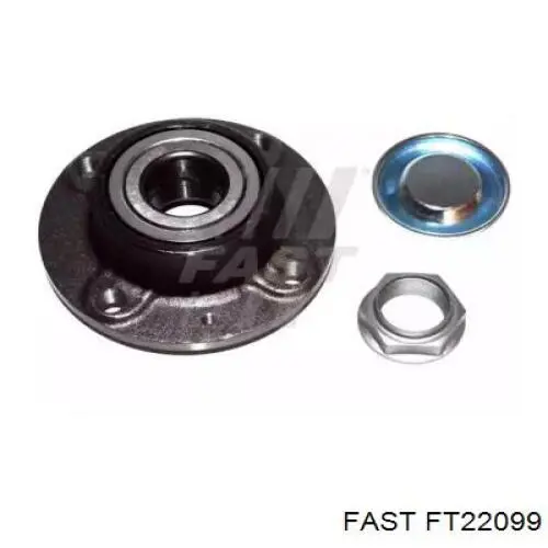 FT22099 Fast Маточина задня