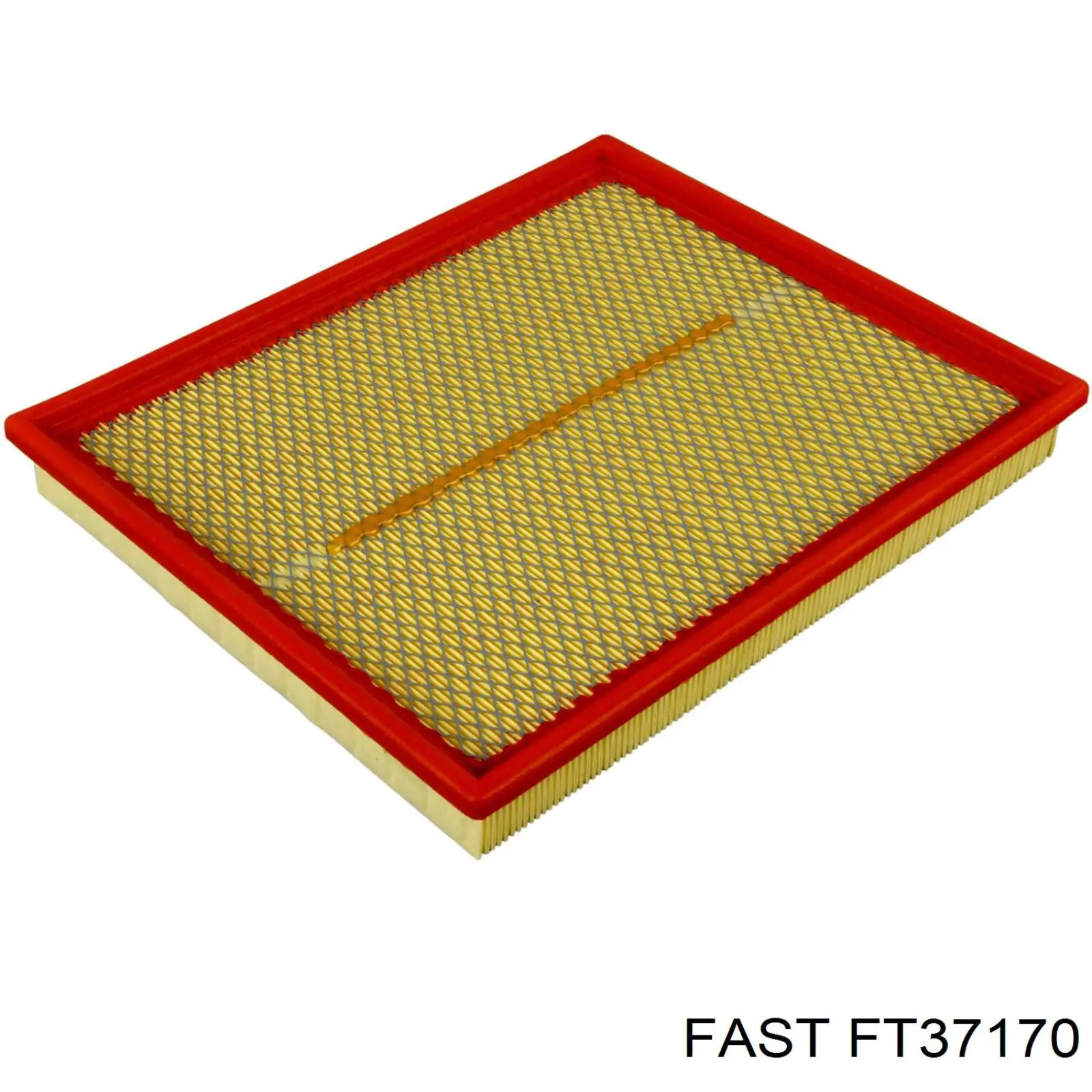 FT37170 Fast Повітряний фільтр двигуна