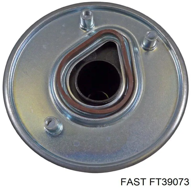 Фільтр тонкого очищення палива Fast FT39073 ціна, від 20.96 USD