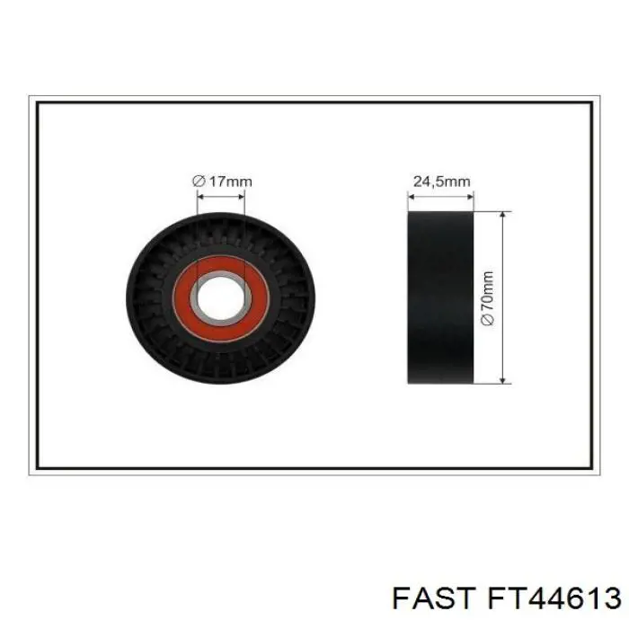 FT44613 Fast натягувач приводного ременя
